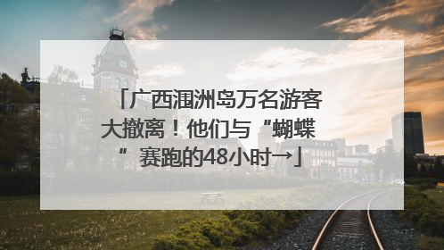 广西涠洲岛万名游客大撤离！他们与“蝴蝶”赛跑的48小时→