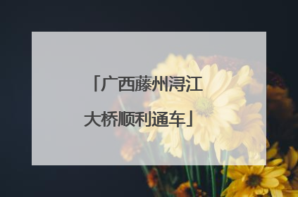 广西藤州浔江大桥顺利通车