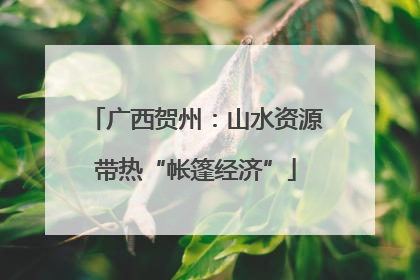 广西贺州：山水资源带热“帐篷经济”