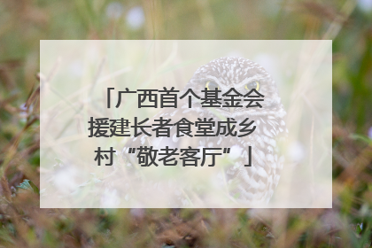 广西首个基金会援建长者食堂成乡村“敬老客厅”