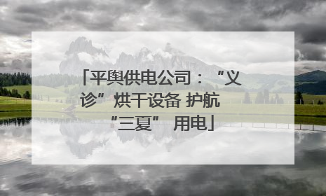 平舆供电公司：“义诊”烘干设备 护航 “三夏” 用电