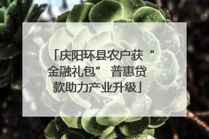 庆阳环县农户获“金融礼包” 普惠贷款助力产业升级