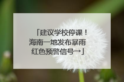 建议学校停课！海南一地发布暴雨红色预警信号→