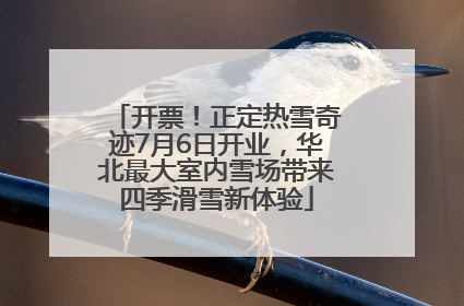 开票！正定热雪奇迹7月6日开业，华北最大室内雪场带来四季滑雪新体验