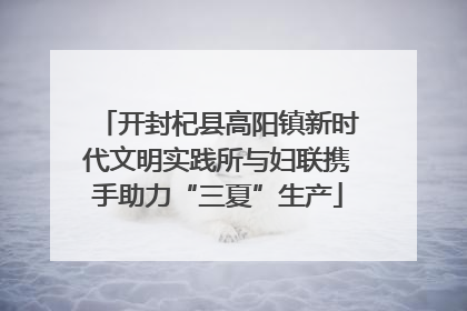 开封杞县高阳镇新时代文明实践所与妇联携手助力“三夏”生产