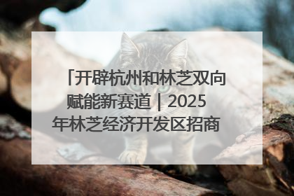 开辟杭州和林芝双向赋能新赛道｜2025年林芝经济开发区招商引资（杭州）推介展销活动在杭举办