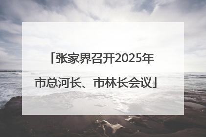 张家界召开2025年市总河长、市林长会议