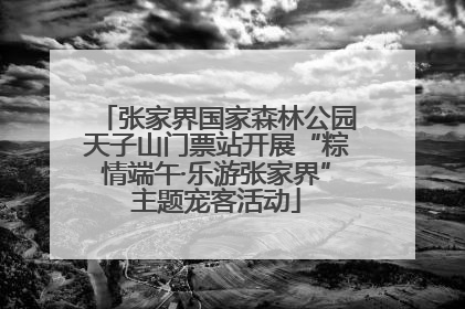 张家界国家森林公园天子山门票站开展“粽情端午·乐游张家界”主题宠客活动