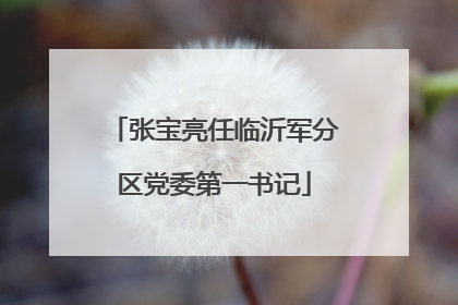 张宝亮任临沂军分区党委第一书记