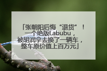 张朝阳后悔“退货”！一个绝版Labubu，被胡润拿去换了一辆车，整车原价值上百万元