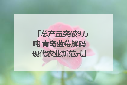 总产量突破9万吨 青岛蓝莓解码现代农业新范式