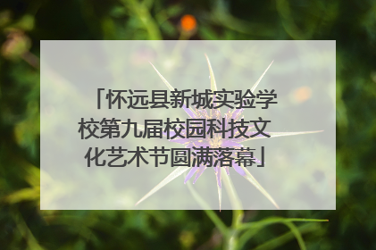 怀远县新城实验学校第九届校园科技文化艺术节圆满落幕