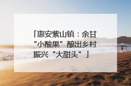 惠安紫山镇：余甘“小酸果”酿出乡村振兴“大甜头”