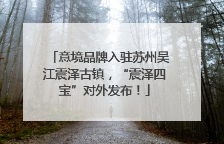 意境品牌入驻苏州吴江震泽古镇，“震泽四宝”对外发布！