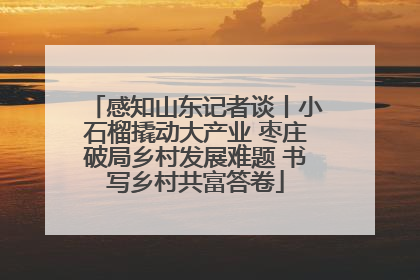 感知山东记者谈丨小石榴撬动大产业 枣庄破局乡村发展难题 书写乡村共富答卷