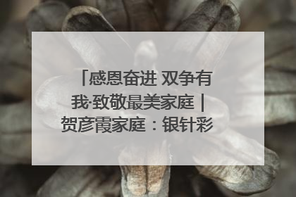 感恩奋进 双争有我·致敬最美家庭｜贺彦霞家庭：银针彩线绣出好日子