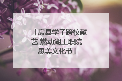 房县学子跨校献艺 燃动湖工职院思美文化节