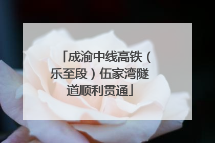 成渝中线高铁（乐至段）伍家湾隧道顺利贯通