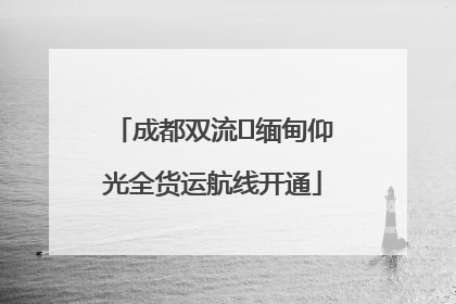 成都双流⇌缅甸仰光全货运航线开通