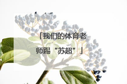 我们的体育老师踢“苏超”