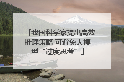 我国科学家提出高效推理策略 可避免大模型“过度思考”