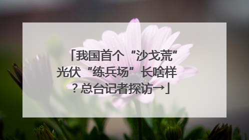 我国首个“沙戈荒”光伏“练兵场”长啥样？总台记者探访→