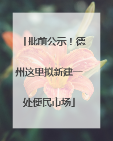 批前公示！德州这里拟新建一处便民市场