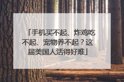 手机买不起、炸鸡吃不起、宠物养不起？这届美国人活得好难