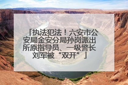 执法犯法！六安市公安局金安分局孙岗派出所原指导员、一级警长刘军被“双开”