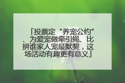 投票定“养宠公约”、为爱宠做牵引绳、比拼谁家人宠最默契，这场活动有趣更有意义