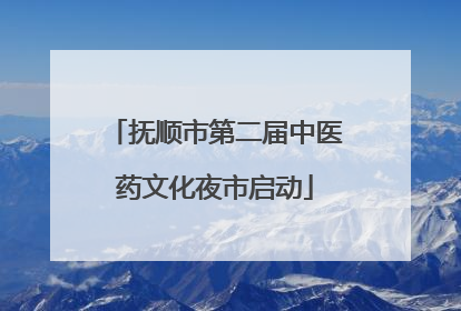 抚顺市第二届中医药文化夜市启动