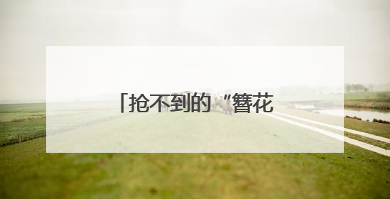 抢不到的“簪花仕女” 从古画“走”进生活