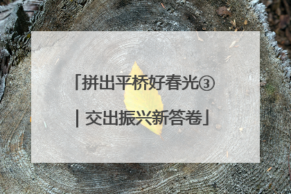 拼出平桥好春光③｜交出振兴新答卷
