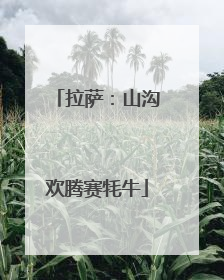 拉萨：山沟欢腾赛牦牛