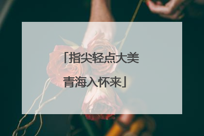 指尖轻点大美青海入怀来
