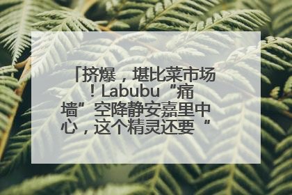 挤爆，堪比菜市场！Labubu“痛墙”空降静安嘉里中心，这个精灵还要“突袭”便利店？