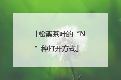 松溪茶叶的“N”种打开方式