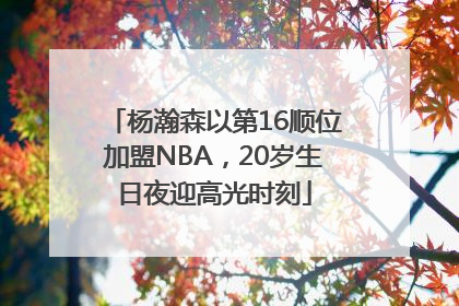 杨瀚森以第16顺位加盟NBA，20岁生日夜迎高光时刻