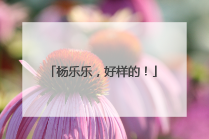 杨乐乐，好样的！