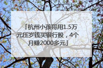 杭州小孩哥用1.5万元压岁钱买银行股，4个月赚2000多元