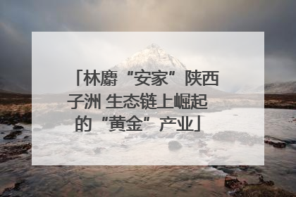 林麝“安家”陕西子洲 生态链上崛起的“黄金”产业