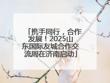 携手同行，合作发展！2025山东国际友城合作交流周在济南启动