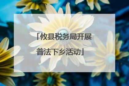 攸县税务局开展普法下乡活动