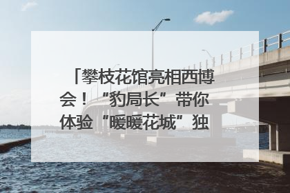攀枝花馆亮相西博会！“豹局长”带你体验“暖暖花城”独特魅力｜西博视界