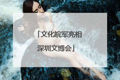文化皖军亮相深圳文博会