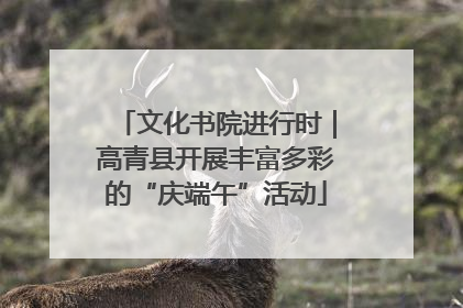 文化书院进行时｜高青县开展丰富多彩的“庆端午”活动