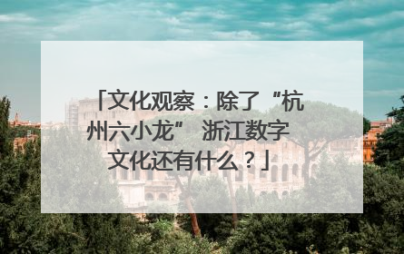 文化观察：除了“杭州六小龙” 浙江数字文化还有什么？