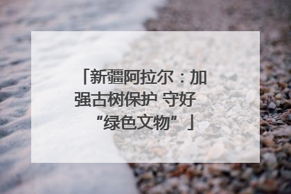 新疆阿拉尔：加强古树保护 守好“绿色文物”