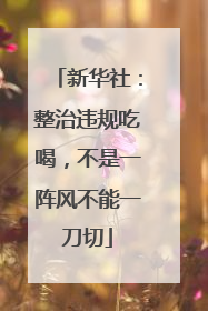 新华社：整治违规吃喝，不是一阵风不能一刀切