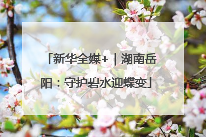 新华全媒+｜湖南岳阳：守护碧水迎蝶变